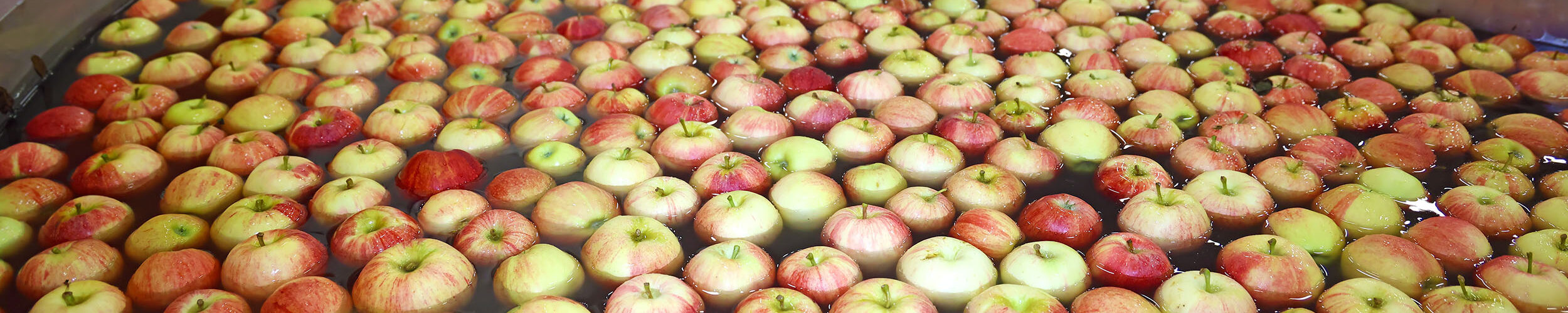 coagulantes y floculantes alimentaria