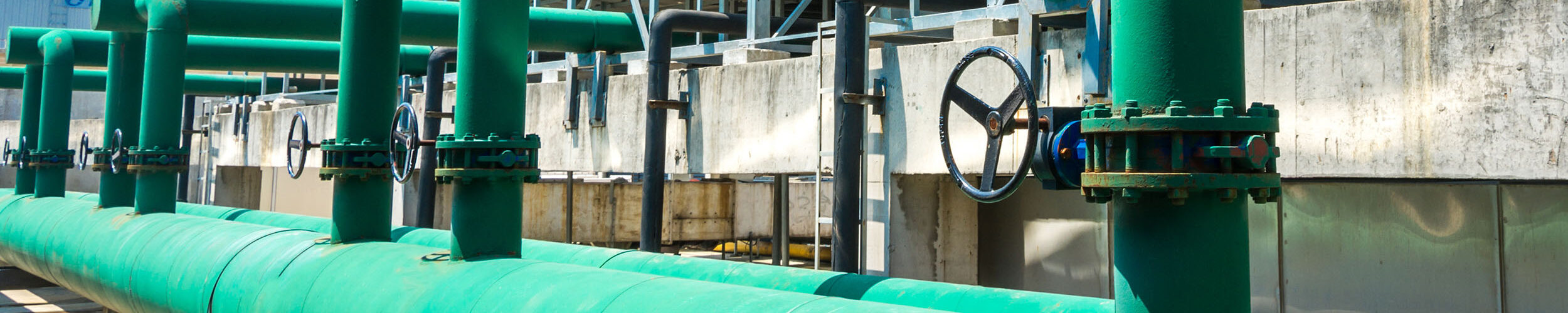 Antiincrustantes para depuradoras